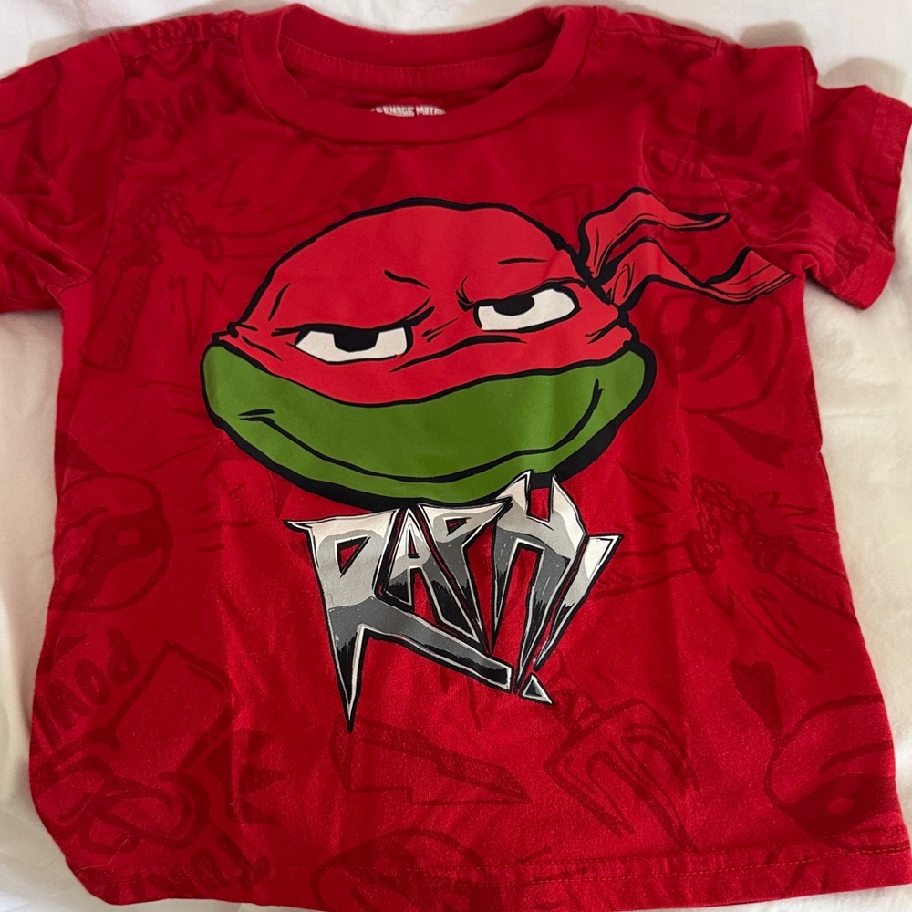 Ninja Turtle Hoodie & Tees - Size 4T - Picture 3 of 6